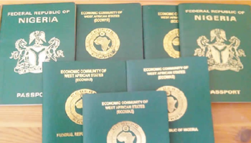 Nigerian passport climbs global ranking, slips in visa-free access