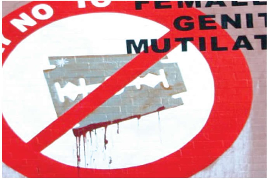 Oyo equips health workers to tackle female genital mutilation