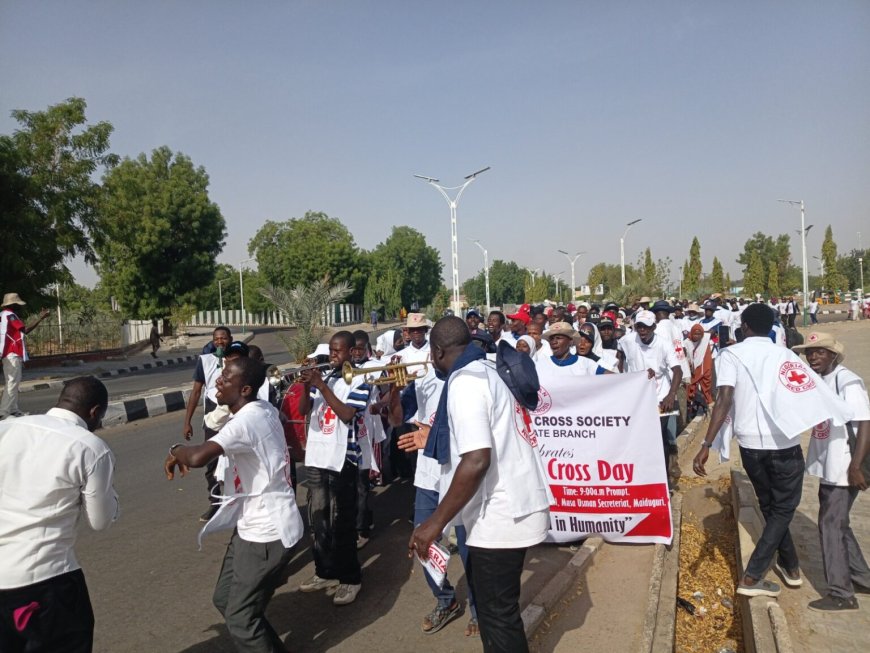 Over two million people displaced by North East insecurity — ICRC