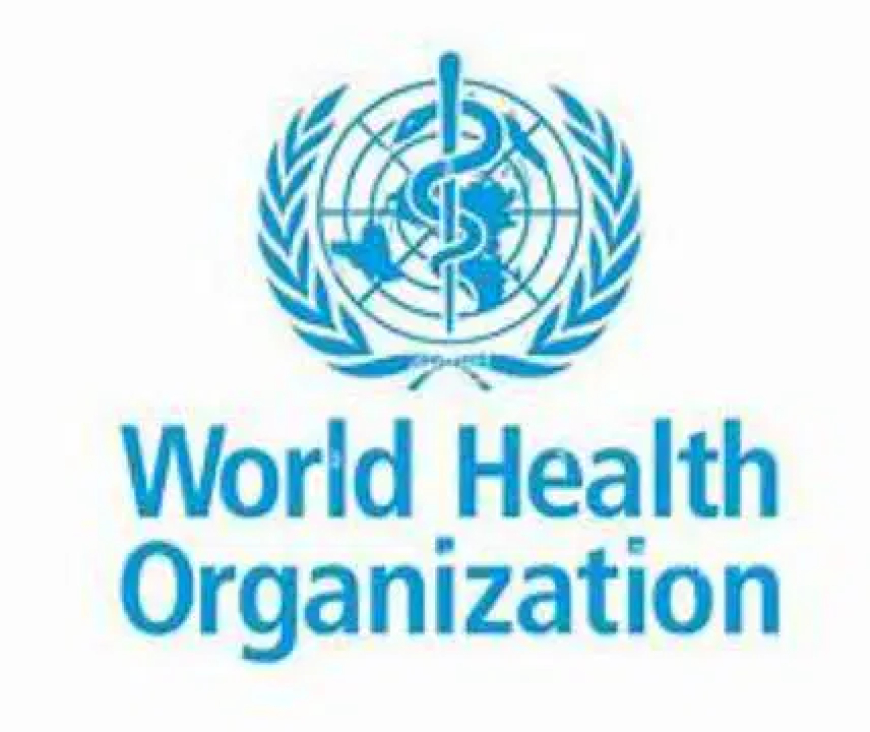 Hantavirus: No worries of potential infection for average persons — WHO