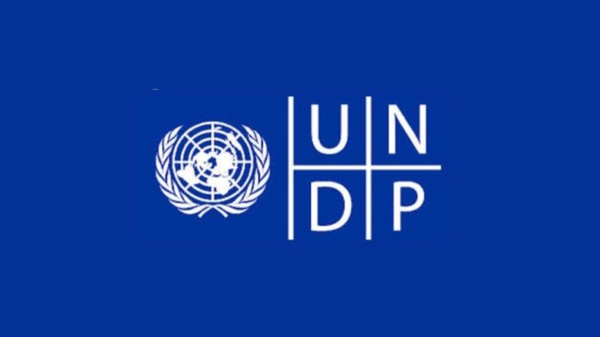 UNDP Remote Internship in Digital, AI and Innovation 2026 | How To Apply