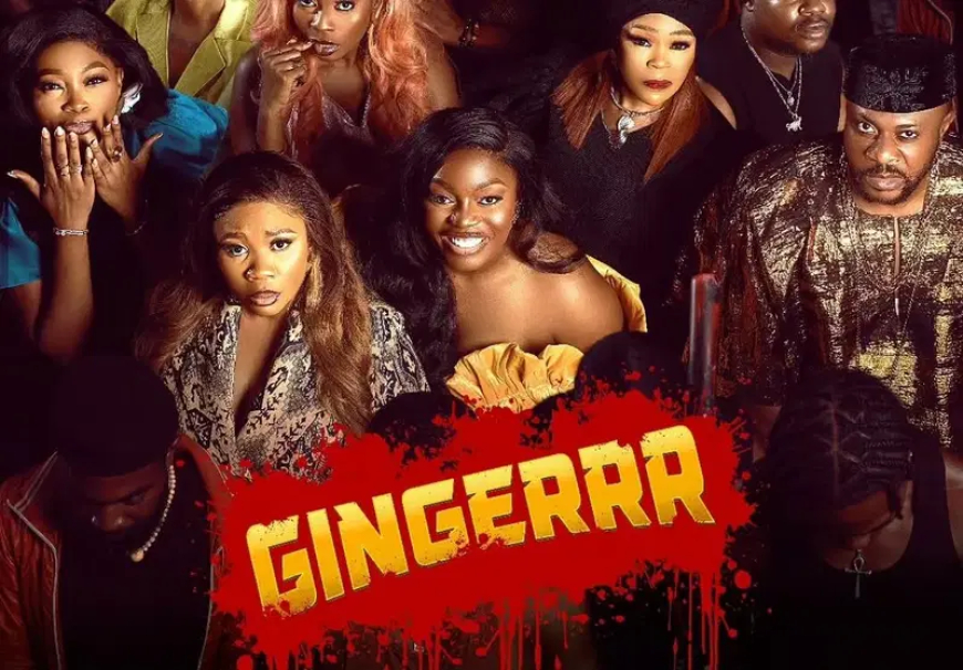 Gingerrr lacks coordination’ – Tweeps explain why film lost despite nine AMVCA nominations
