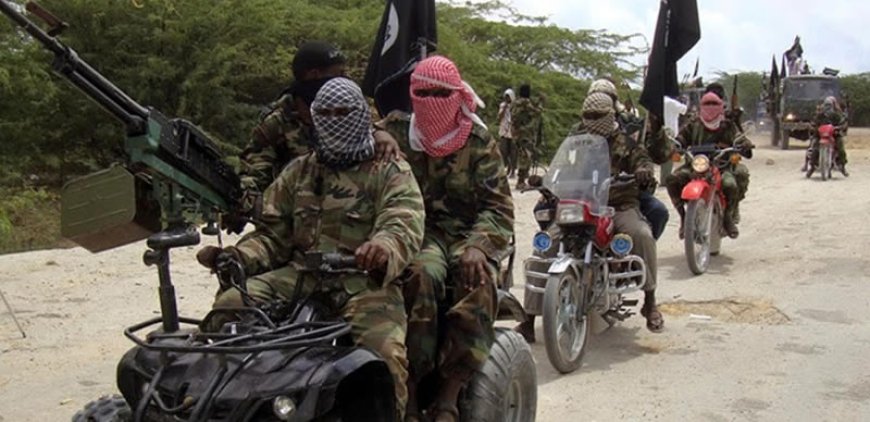 Terrorists share video showing five Borno captives killed