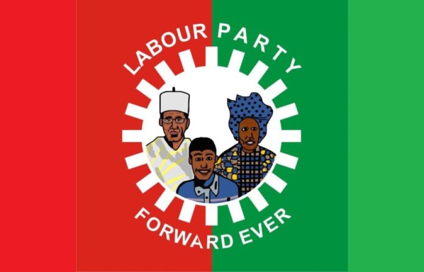 Labour Party sets up screening committee for primaries