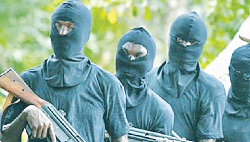 Bandit attacks threaten northern campuses, student group warns