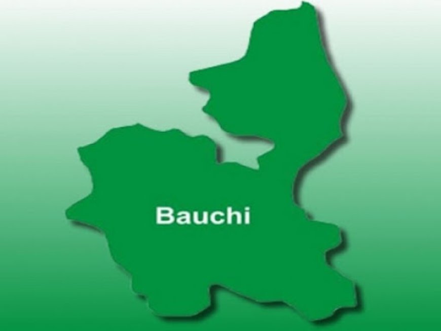 Police arrest Bauchi man for defiling minor