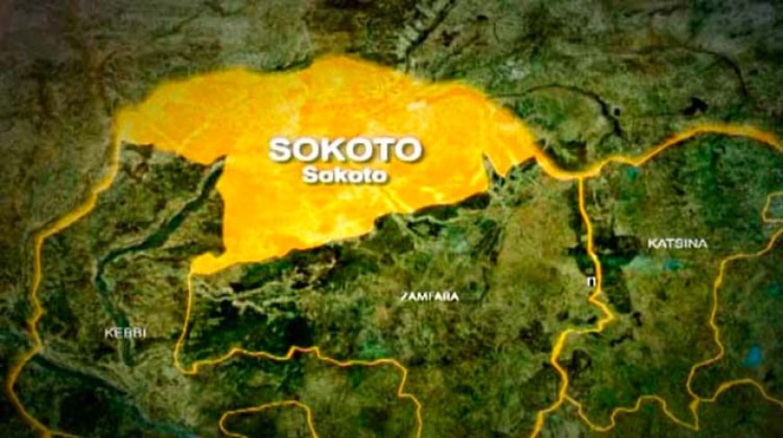 Seven soldiers, civilian feared killed in Lakurawa Sokoto ambush