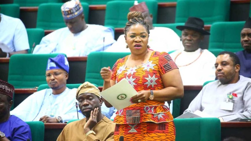 Benue APC primaries: Onoja’s son, other challenge David Mark’s daughter’s victory
