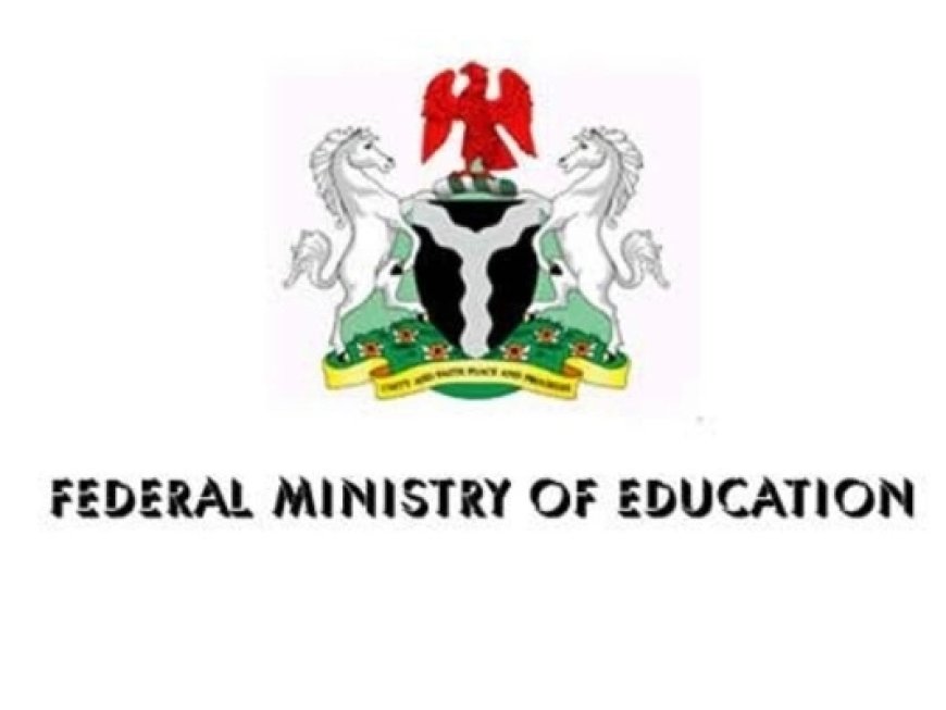FG begins outstanding scholarship payments to foreign students