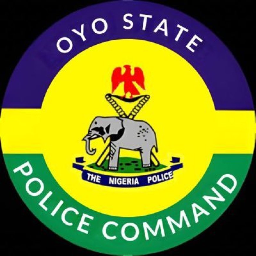 Abducted Oyo students, teachers not yet rescued — Police