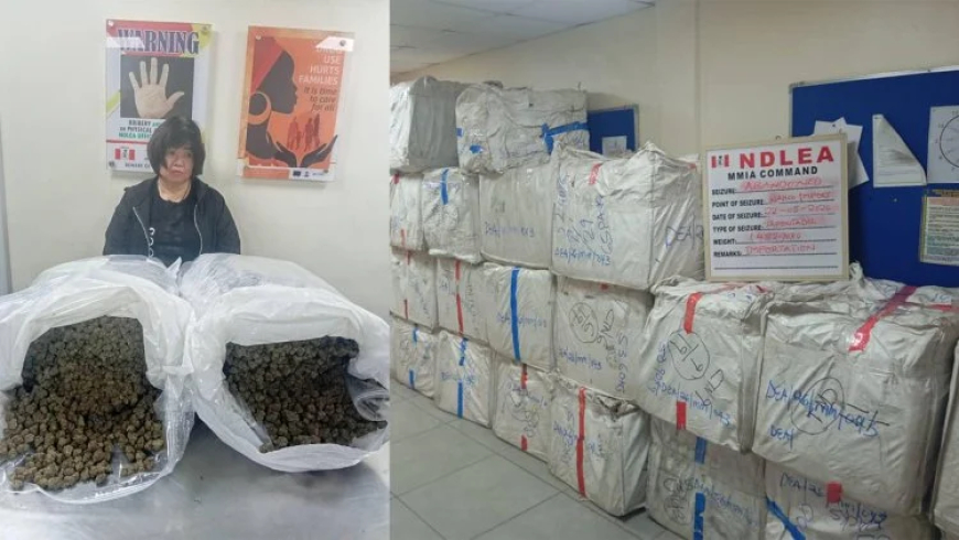 NDLEA arrests Chinese woman with drug shipment at Lagos airport