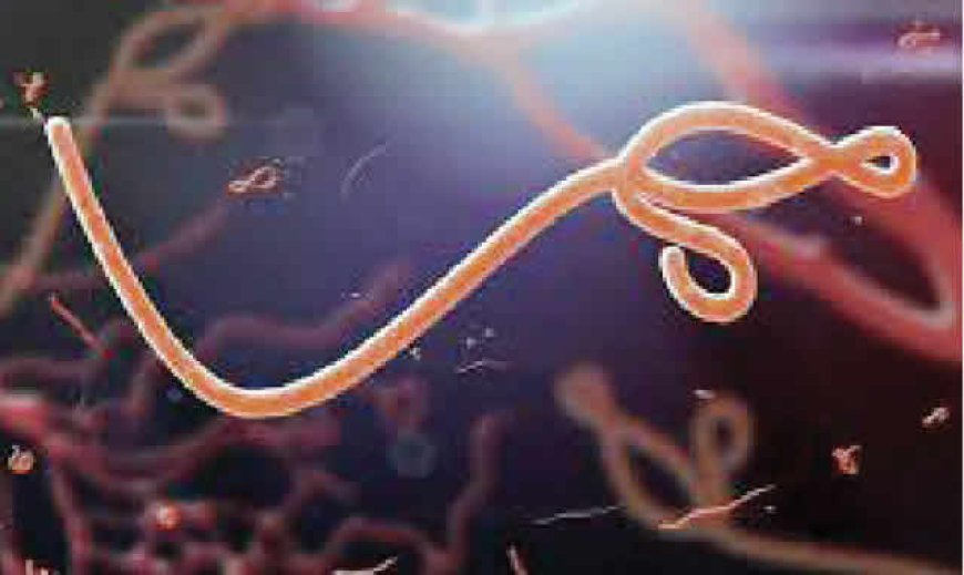 Nigeria braces for possible Ebola outbreak, says NCDC