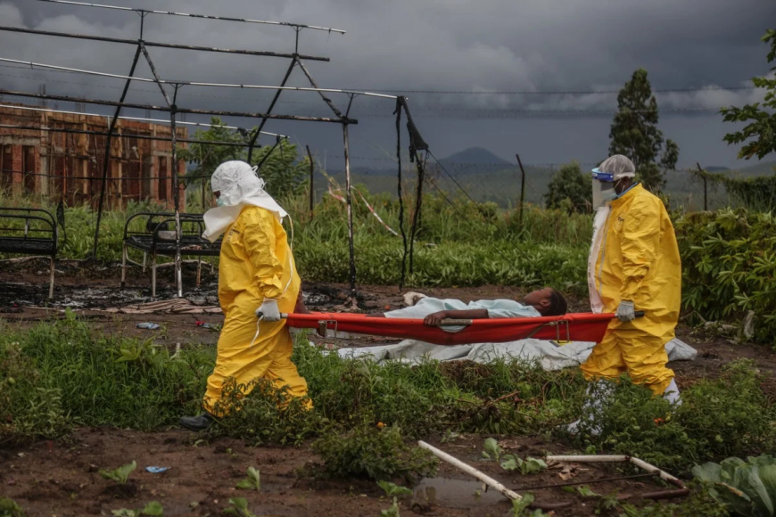 Ebola cases hit 900 in Congo DRC