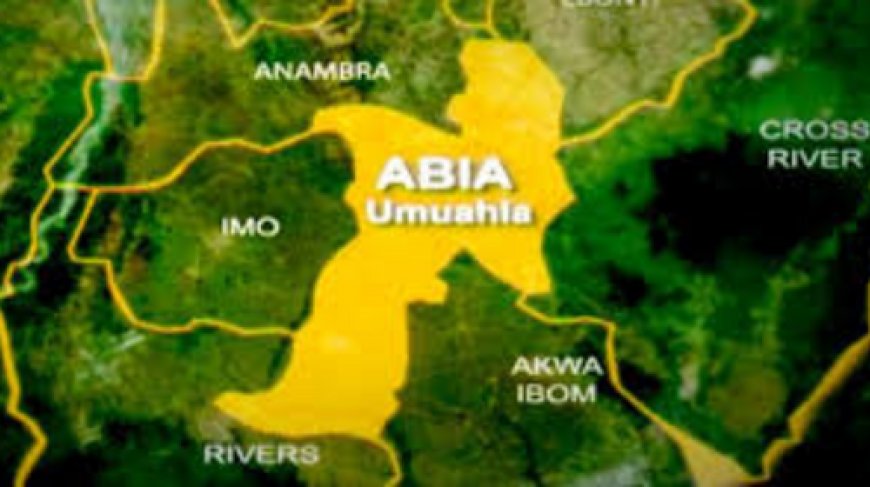 Abia gov’s wife distributes fertilisers to women farmer