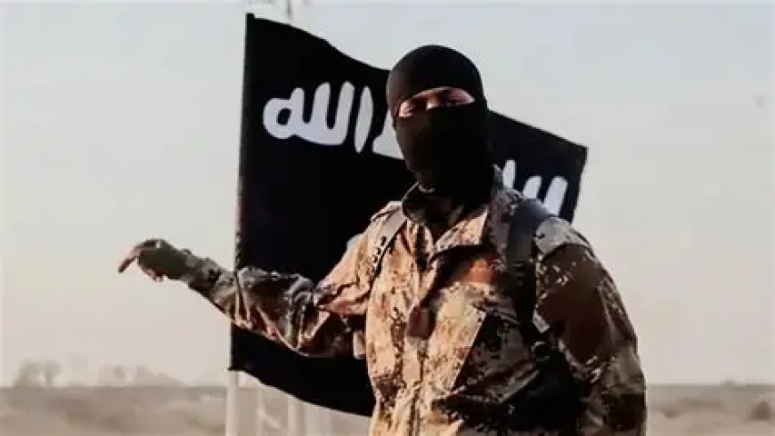 Over 80% of ISIS operations now in W’Africa’