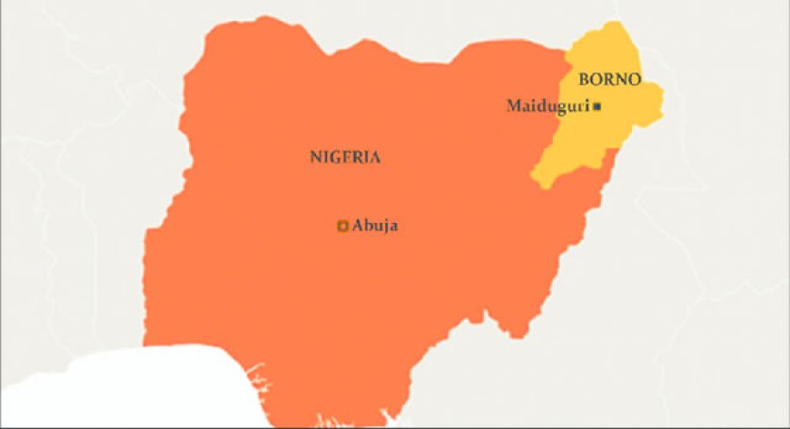 Cholera kills 37 in Borno