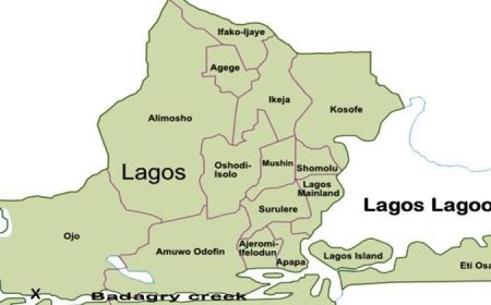 Reports of bandits attack in Lagos fake — LG chairman