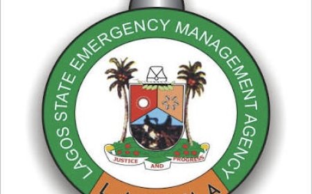 Lagos, NIS move to strengthen sports sector safety