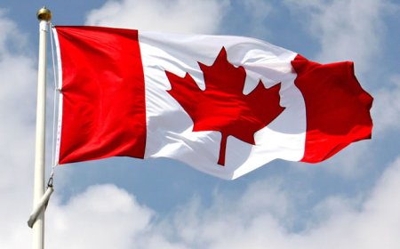 Canada Pauses Visas From Three African Nations Over Ebola Outbreak
