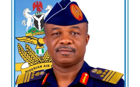 NAF chief says civilian casualty allegations hurt military’s image