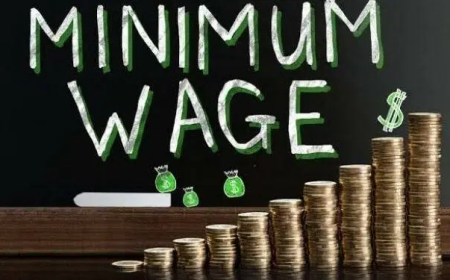 Private sector faults N100,000 minimum wage proposal