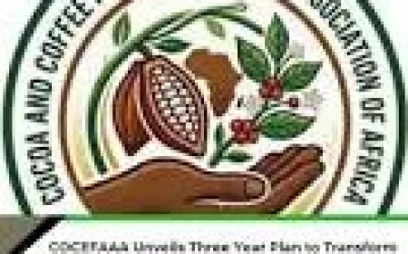 Cocoa farmers raise concern over persistent price volatility