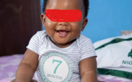 7-month-old baby among 13 abducted by terrorists in Borno
