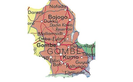 Gombe hails results of tree planting, erosion control projects