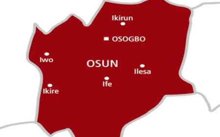 Osun community seeks help for palm oil production