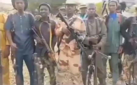 Bandits demand release of fighters for abducted ex-Army spokesman