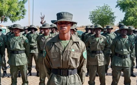 States rush to deploy forest guards as insecurity deepens