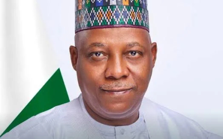 Lagos produced Dangote, Rabiu, not Kano — Shettima