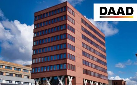 DAAD Rosa Luxemburg Scholarship in Germany 2026 | Fully Funded