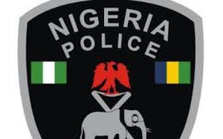 Retired policemen beg Tinubu to sign Police Exit Bill into law