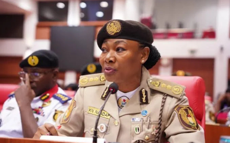NIS deploys technology against irregular migration