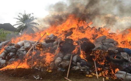 NDLEA destroys N2.8bn drugs in Edo