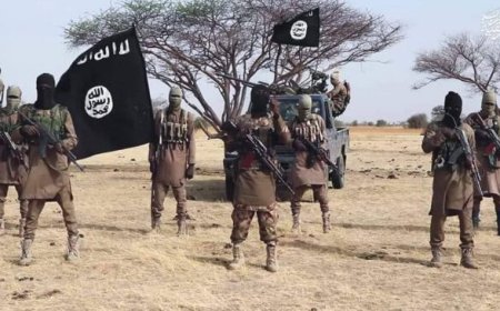 Army kills ISWAP leader, two surrender in Borno offensive