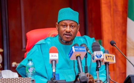 Katsina gov offers reintegration deal to repentant bandits