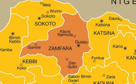 DSS intercepts arms cache in Zamfara, nabs courier