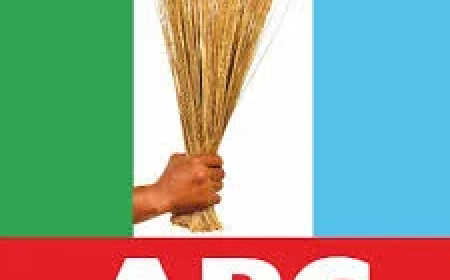 2027: APC shuts door on primary results review