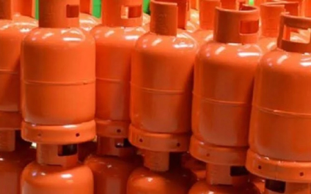 Domestic gas sales rise 30% on reforms – Report