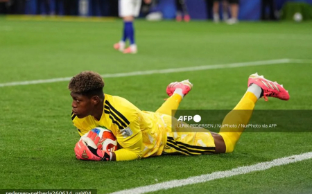 Akpeyi hails Japan keeper Suzuki after Dutch draw