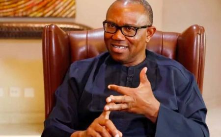 NDC to bind Obi, Kwankwaso with anti-defection oath