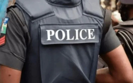Police detain TikToker over boyfriend’s death in Kano