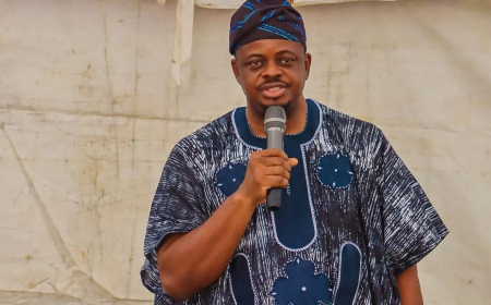 NPA director decries political violence in Osun