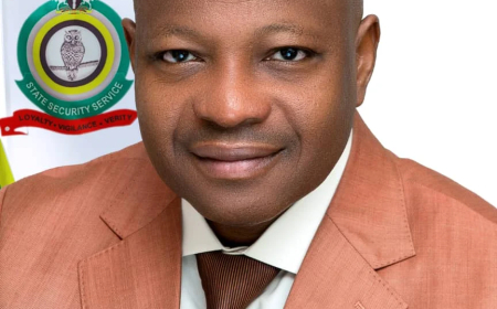 DSS boss bags NUJ award
