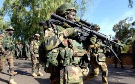 Military rescues 47 ISWAP captives in Borno