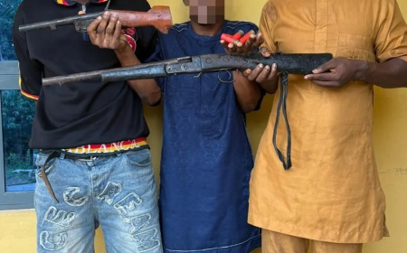 Police arrest three suspected vehicle snatchers in Oyo, seize guns