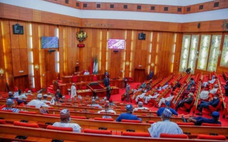 Senate adjourns emergency plenary on state police over Rep’s death