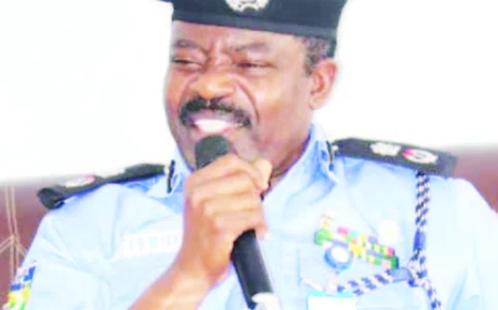 Armed gang, two female accomplices nabbed for murder, robbery in Niger